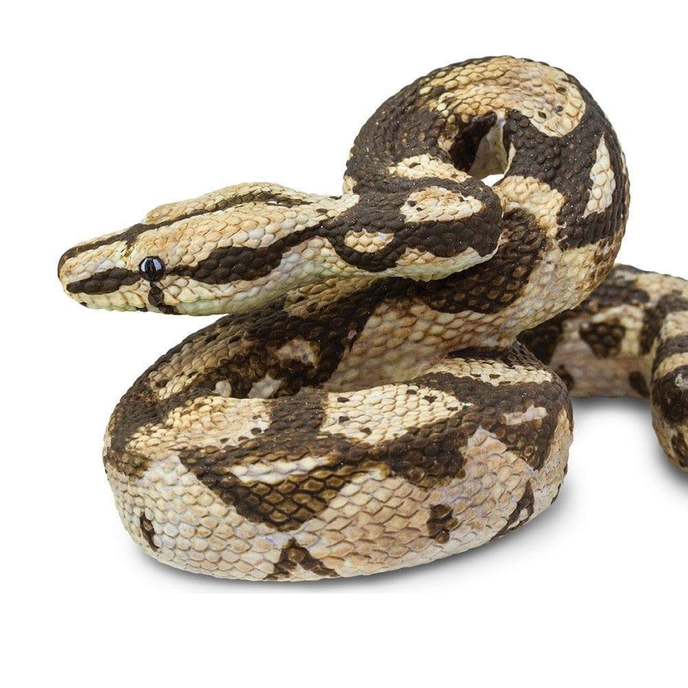 Boa Constrictor Toy