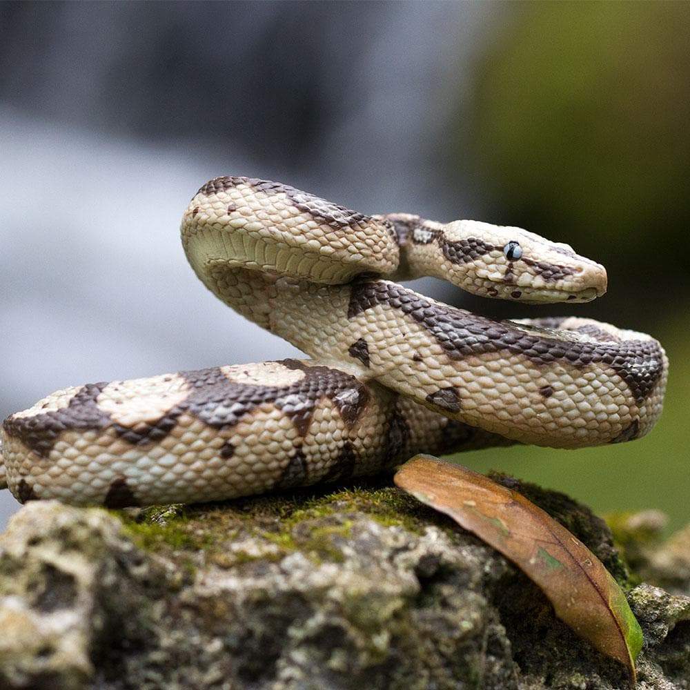 Boa Constrictor Toy